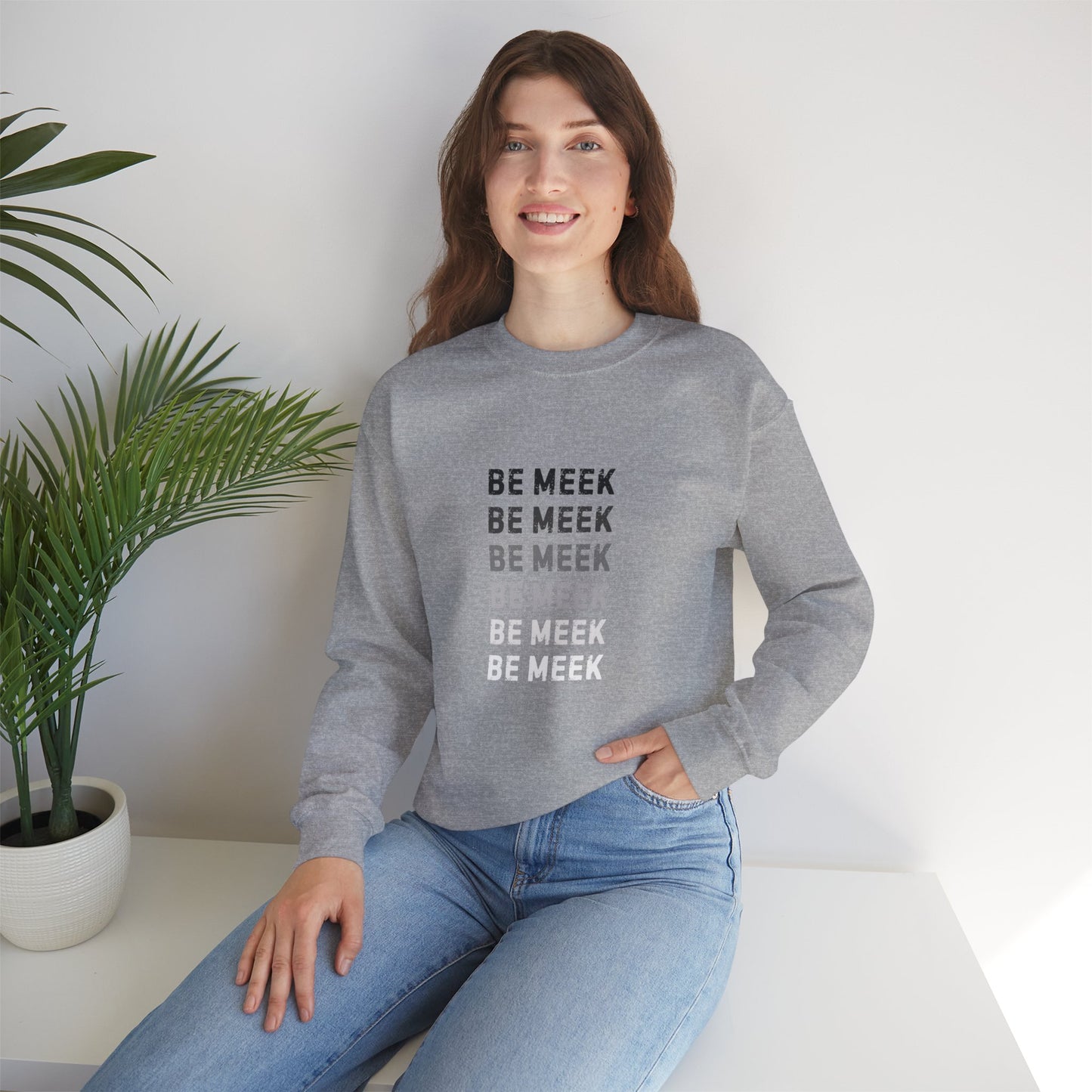 Be Meek Hiqua Crewneck Sweatshirt